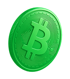 head-coin